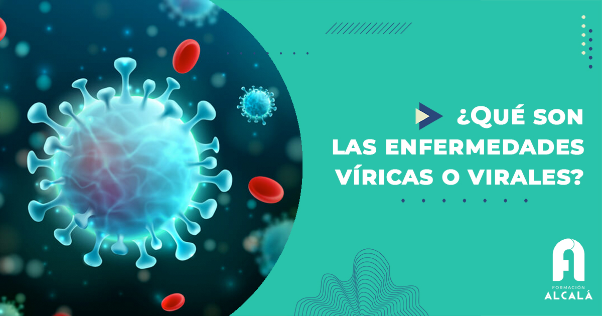 Imagen de ¿Qué son las enfermedades víricas o virales?