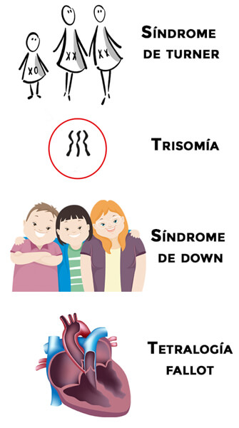 Anomalías causadas por variaciones en el número de los cromosomas. 